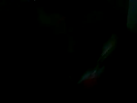 Yardie bone online show from March 2025 03:54:01 PM