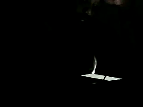 Yardie bone online show from February 2025 06:31:01 PM