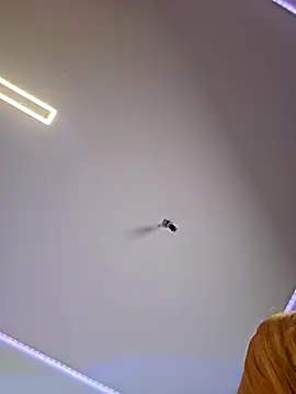 LessiaMia online show from April 2026 07:53:02 PM