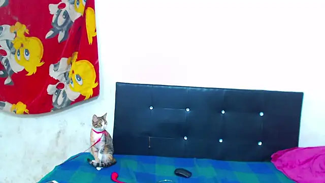 The wickles 4443 online show from February 2026 05:05:02 AM