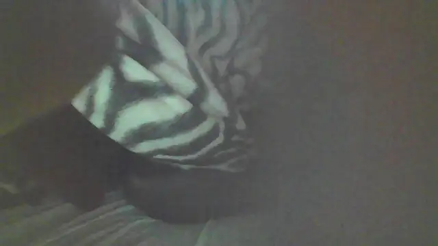 booty big online show from October 2025 04:49:02 AM