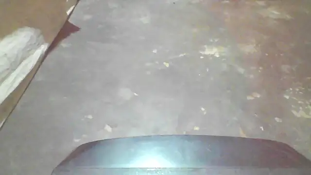 booty big online show from October 2025 07:15:02 PM