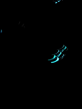 Jackauff69 online show from December 2025 11:08:01 PM