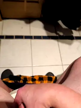 Jackauff69 online show from March 2026 12:55:01 PM