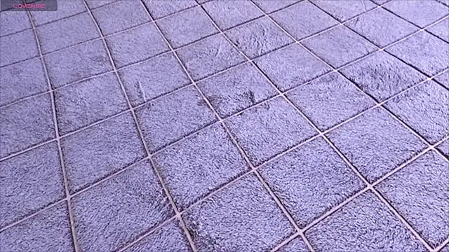 viviann evans online show from January 2026 12:58:02 AM