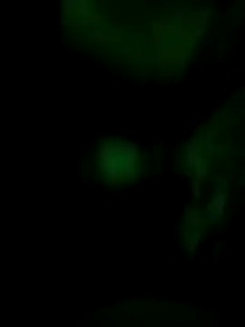 Vuyokaki online show from November 2025 02:34:01 AM
