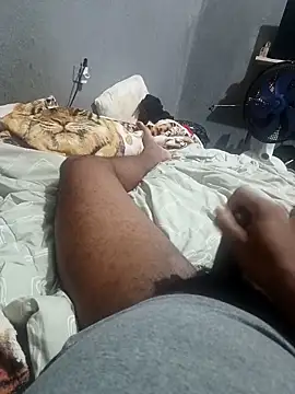 Mailsonp online show from April 2026 05:21:02 PM