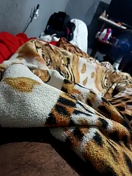 Mailsonp online show from February 2026 03:34:02 PM