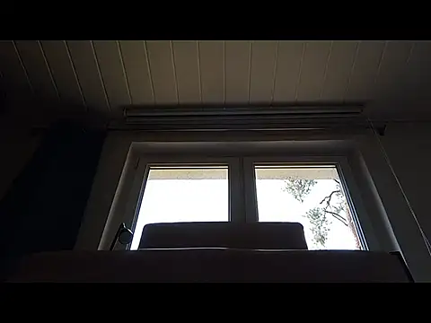 Rainfish online show from May 2026 11:10:01 AM