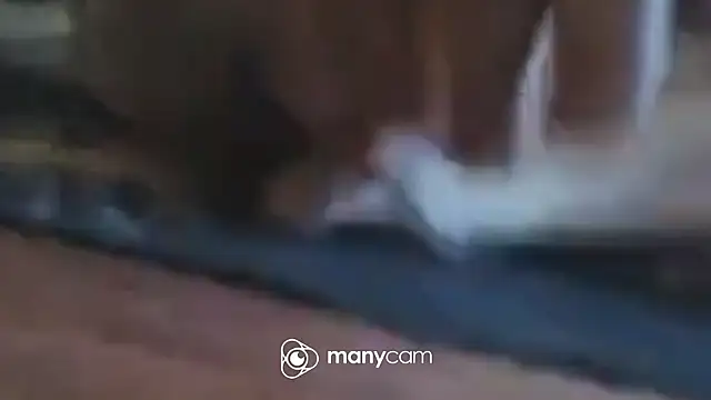 immerGeil79 online show from April 2026 05:58:02 AM