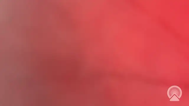 Aulonocara86 online show from February 2026 12:15:02 PM