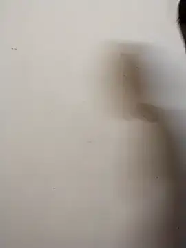 Snapshot of Shuttii_25 chatting on December 2024 04:19:01 AM Shuttii 25 online show from December 2024 04:19:01 AM