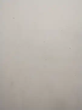 Snapshot of Shuttii_25 chatting on February 2025 04:35:02 PM Shuttii 25 online show from February 2025 04:35:02 PM