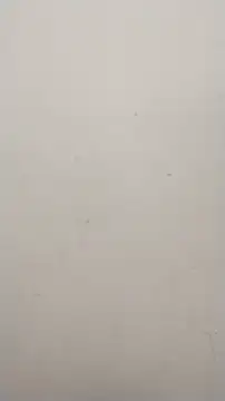 Snapshot of Shuttii_25 chatting on January 2025 10:08:02 AM Shuttii 25 online show from January 2025 10:08:02 AM