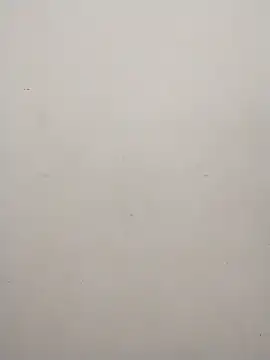 Snapshot of Shuttii_25 chatting on January 2025 05:40:02 AM Shuttii 25 online show from January 2025 05:40:02 AM