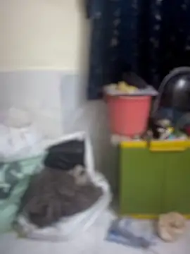 PARI Hun online show from April 2026 12:11:02 PM