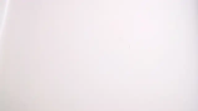 drake brwon 23 online show from February 2026 06:52:01 PM