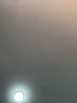  alabina  online show from February 2026 01:29:01 PM