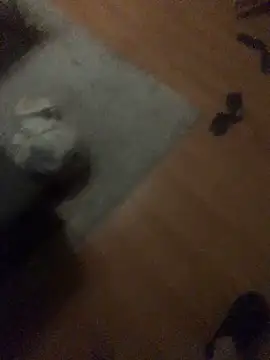 chrille82 online show from November 2025 06:07:02 PM