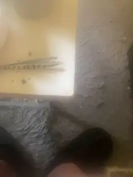 chrille82 online show from April 2026 05:43:02 AM