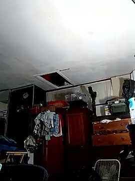 ColdVisitor online show from April 2026 06:29:02 AM