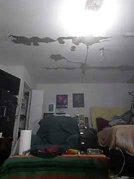 ColdVisitor online show from March 2026 11:48:02 PM