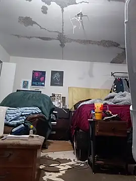 ColdVisitor online show from February 2026 01:39:01 AM