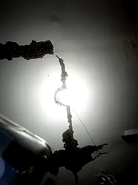 ColdVisitor online show from February 2026 01:34:02 AM