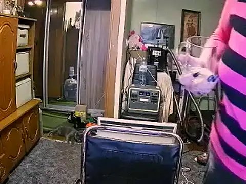 LOLA8888 online show from December 2025 12:04:01 PM