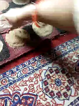 ohana143 online show from March 2025 12:04:01 PM