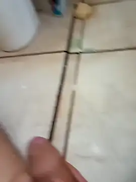 pirucudo17 online show from November 2025 11:36:02 AM