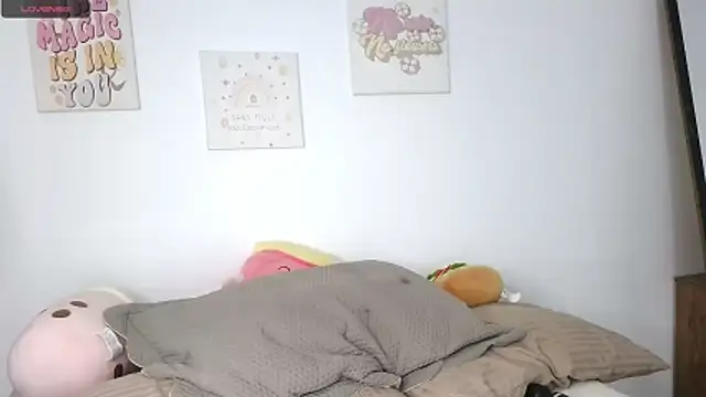 northly online show from February 2026 02:17:02 PM