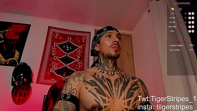 TigerStripes1  online show from March 2026 06:24:01 AM