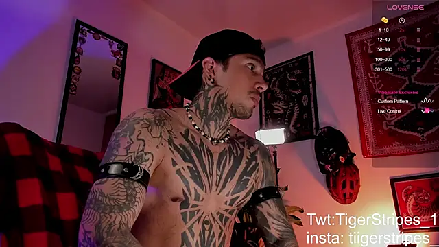 TigerStripes1  online show from March 2026 10:27:02 AM