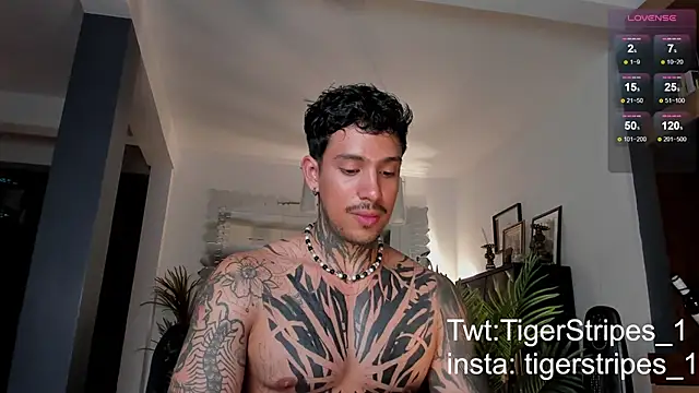 Snapshot of TigerStripes1_ chatting on February 2025 12:43:01 AM TigerStripes1 online show from February 2025 12:43:01 AM