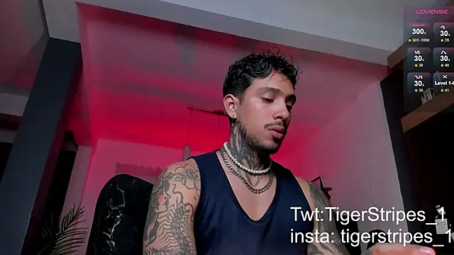 Snapshot of TigerStripes1_ chatting on February 2025 05:40:01 AM TigerStripes1 online show from February 2025 05:40:01 AM