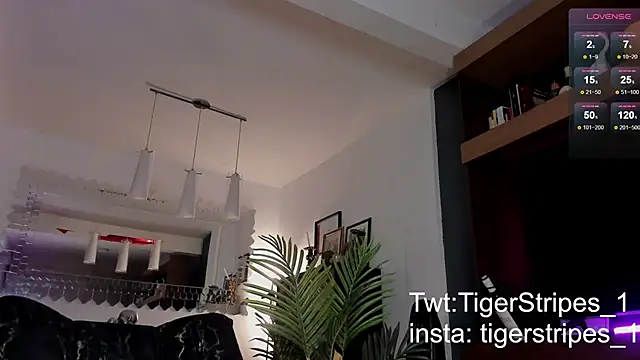 Snapshot of TigerStripes1_ chatting on February 2025 11:33:01 PM TigerStripes1 online show from February 2025 11:33:01 PM