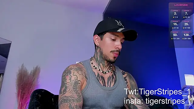 Snapshot of TigerStripes1_ chatting on March 2025 12:59:01 AM TigerStripes1 online show from March 2025 12:59:01 AM