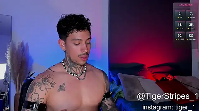 Snapshot of TigerStripes1_ chatting on February 2025 10:28:02 PM TigerStripes1 online show from February 2025 10:28:02 PM