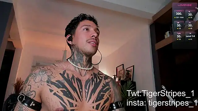 Snapshot of TigerStripes1_ chatting on February 2025 11:19:02 PM TigerStripes1 online show from February 2025 11:19:02 PM