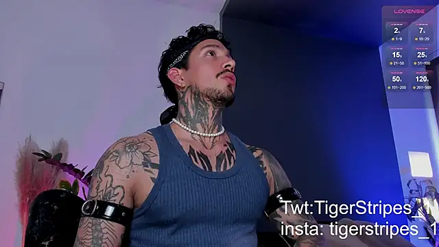Snapshot of TigerStripes1_ chatting on March 2025 08:54:01 PM TigerStripes1 online show from March 2025 08:54:01 PM