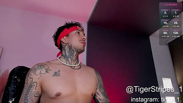 Snapshot of TigerStripes1_ chatting on January 2025 01:48:01 AM TigerStripes1 online show from January 2025 01:48:01 AM