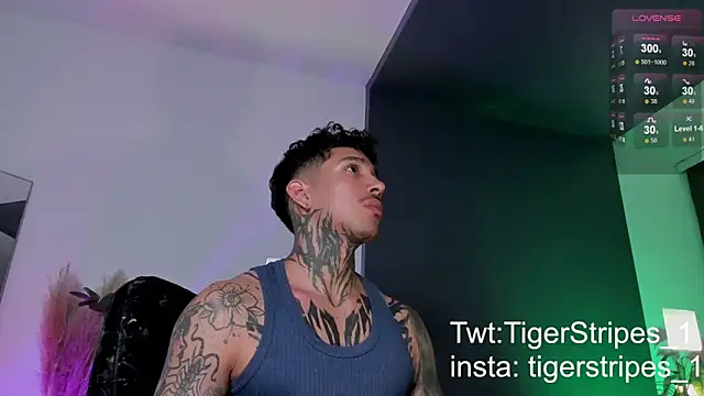 Snapshot of TigerStripes1_ chatting on March 2025 11:56:02 PM TigerStripes1 online show from March 2025 11:56:02 PM