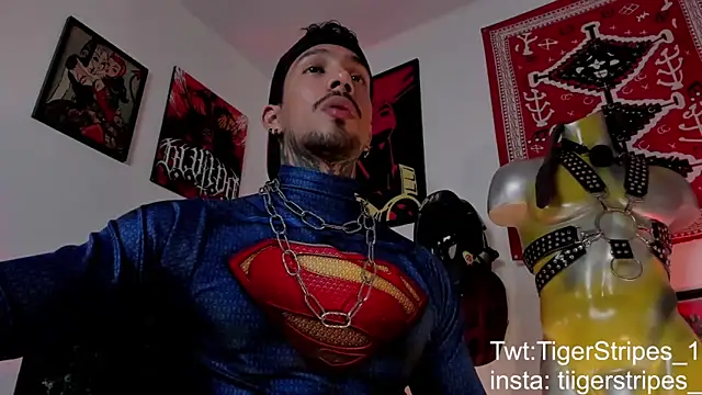 TigerStripes1  online show from March 2026 04:57:01 AM