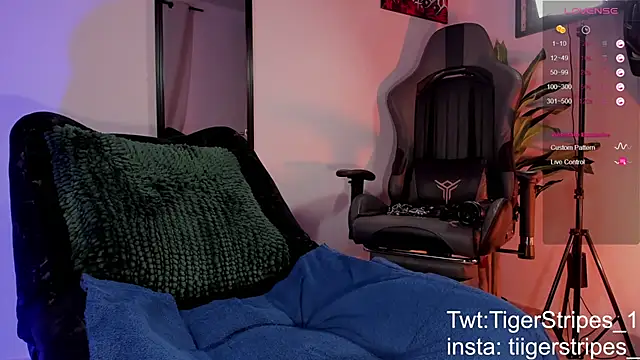 TigerStripes1  online show from March 2026 11:33:02 AM