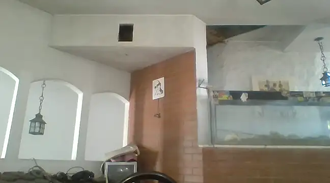 Stevenson988 online show from February 2025 07:07:01 PM