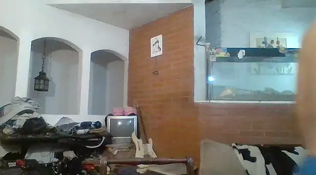 Stevenson988 online show from February 2025 12:26:01 AM