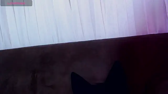 AlissonnFoxx online show from June 2026 12:21:01 AM