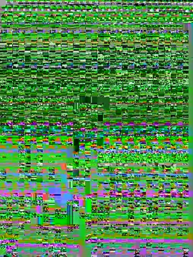 kvr27 online show from July 2026 01:34:02 PM