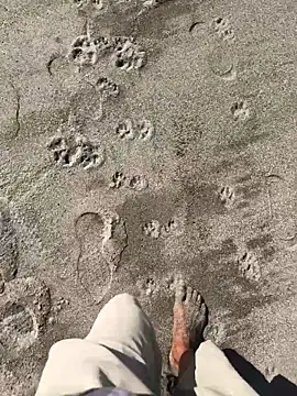 kvr27 online show from January 2026 03:06:01 PM